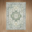 Tapis oriental performance Roehit-1848268753-1865515408