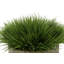 Gazon artificiel 8 po dans un panier-1972723835-1972723833-1941322100