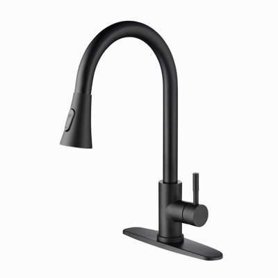 Kitchen Faucet With Pull Out Spraye