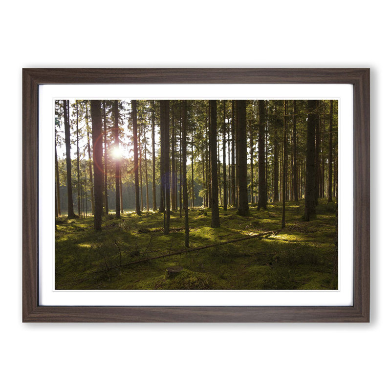 Single Picture Frame Print, Walnut