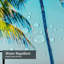 Parc, palmiers, Sunny Day Beach, Floride, États-Unis, art américain avec 12 crochets-412113038