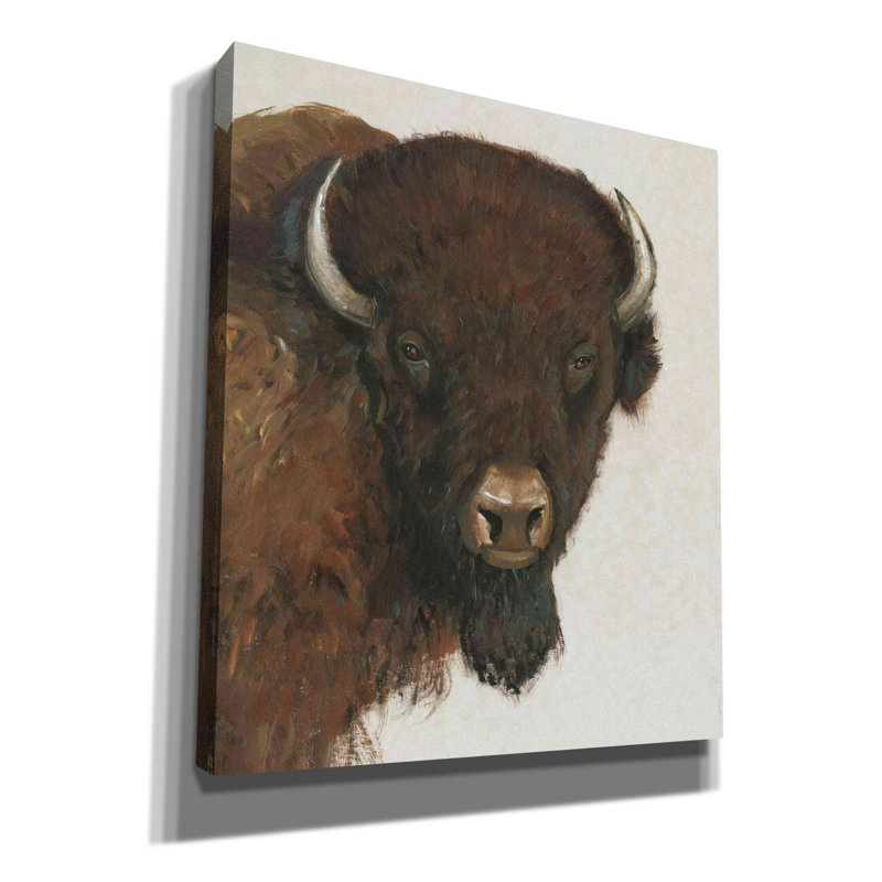 «Western Portrait II» par Tim O'toole, art mural sur toile, H 30 po x l 26 po x P 1,5 po