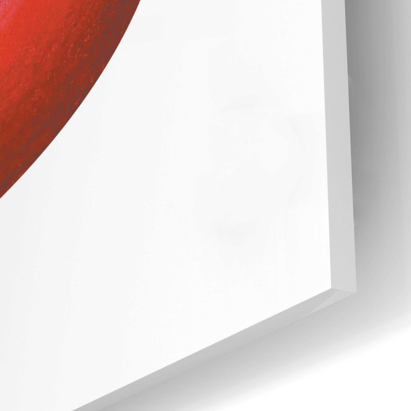 Teckel noir dans un avion rouge sur impression plastique / acrylique, H 16 po x l 24 po x P 0,2 po