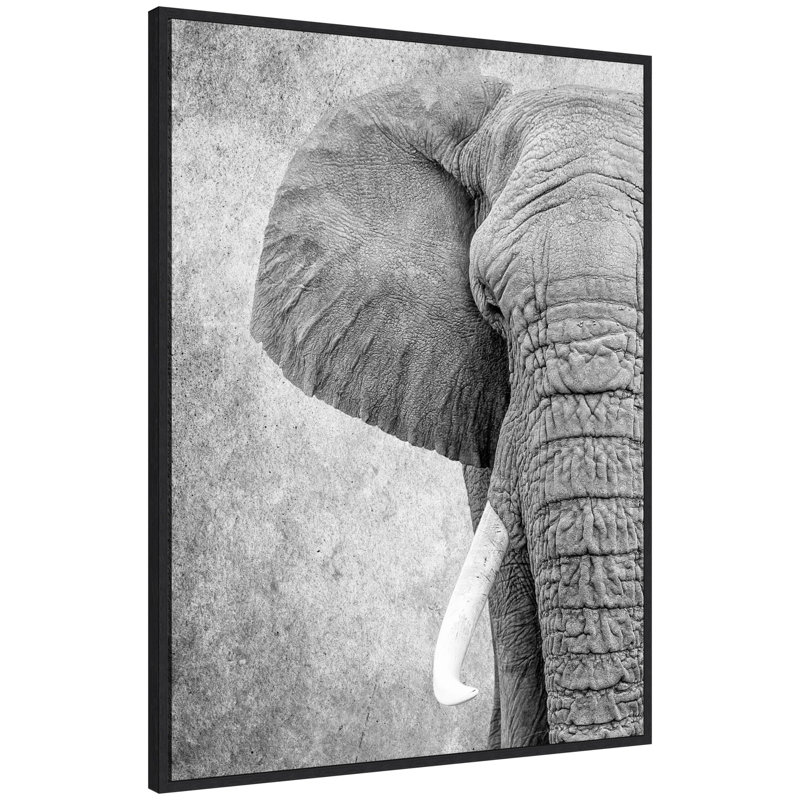 «Black and White Minimalist Safari Elephant» par Simon Te, impression sur toile encadrée
