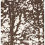 Woodland Fabric-23002566