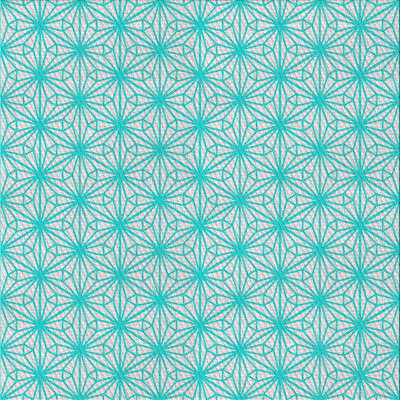 Indoor Rug