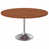 Cognac Brown