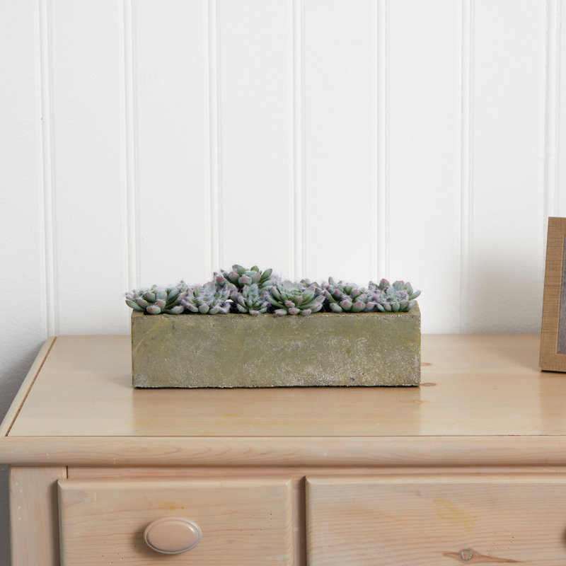 Succulent artificielle 2,25" en pot de fleurs