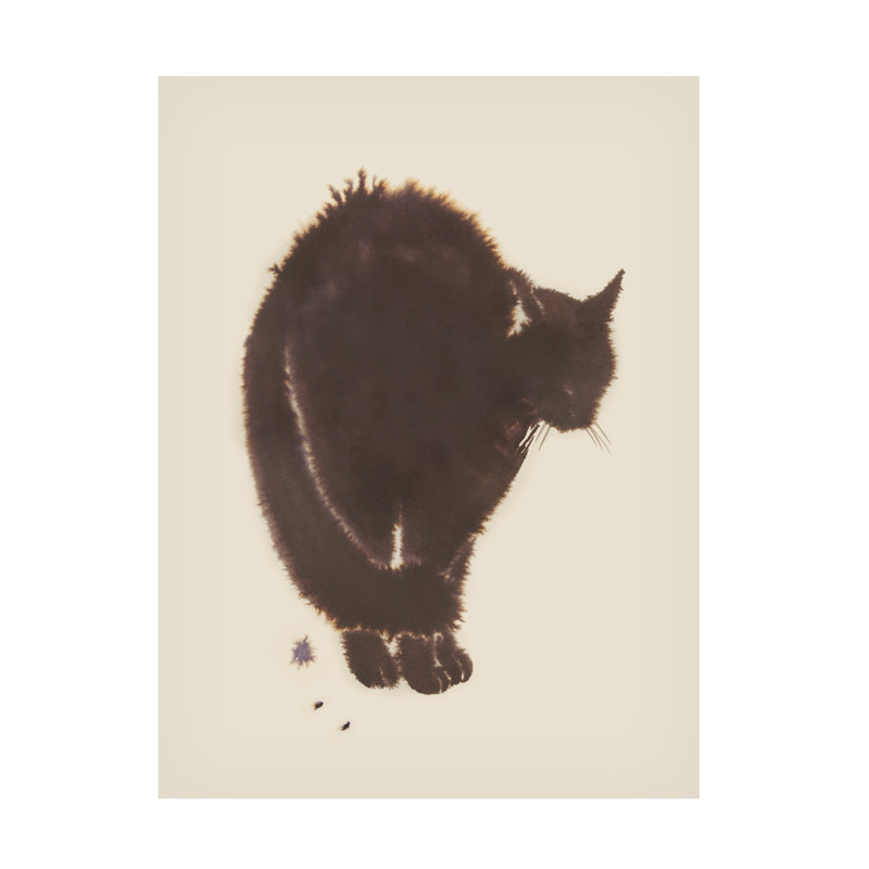 Art mural sur toile tendue - «Black Cat Dream I» de Grace Popp pour décoration de salon, de chambre à coucher ou de bureau - 24 x 32
