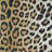 Ehren Leopard Animal Print New Gold Indoor Outdoor Area Rug-67947446