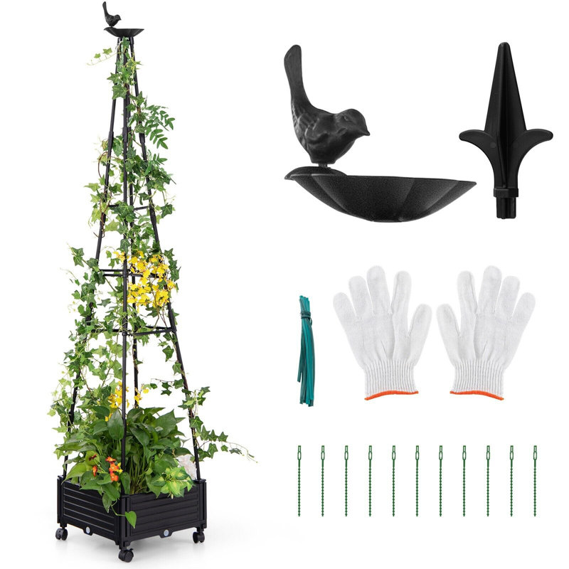 Sorensen 203cm H x 41cm W Metal Gothic Trellis