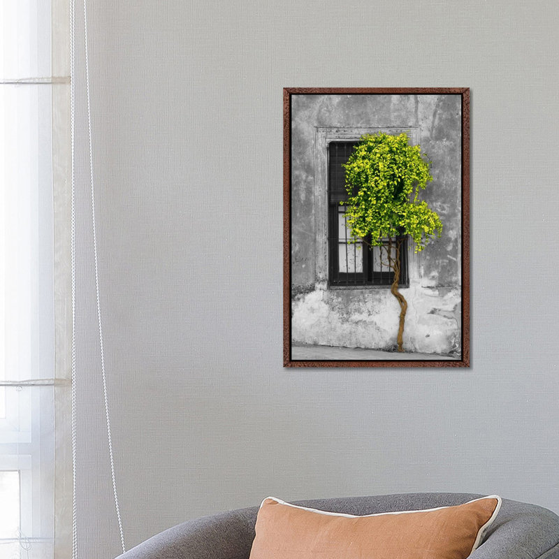 Panoramic Images - Print on Canvas, 66.04 cm H x 45.72 cm W, Classic Wood Framed