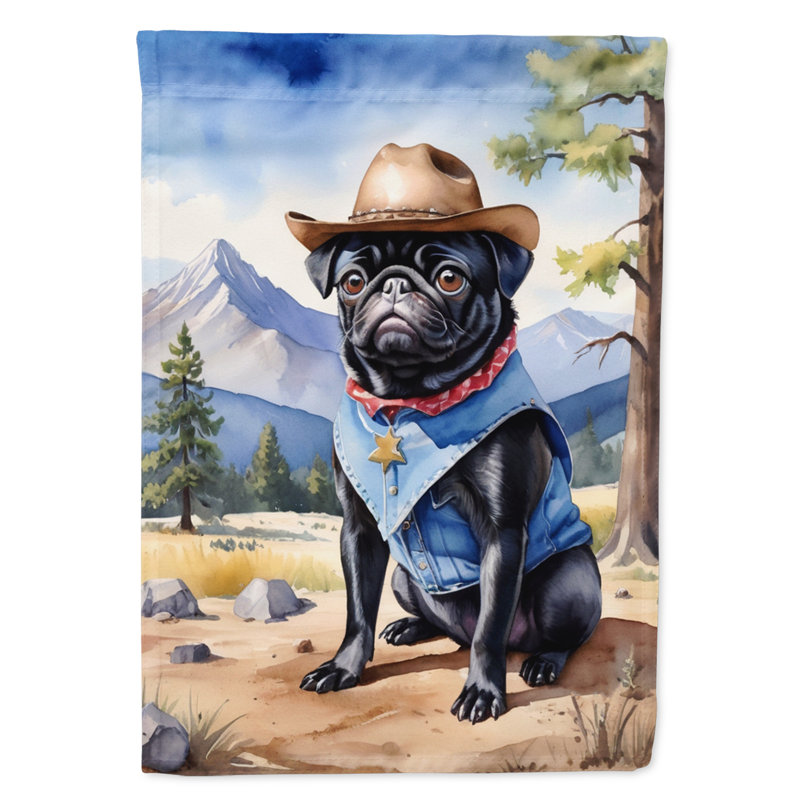Drapeau Cowboy Welcome House, Carlin