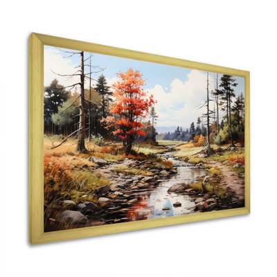 " Forest Adirondack Mountains "