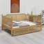 Lit de jour de style traditionnel avec lit gigogne pour chambres d'amis compactes