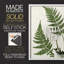 Impression encadrée Fern II - bois massif-112364925-112364918