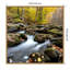 «Autumn Rush» par Danny Head, reproduction d'art sur toile encadrée-102458476