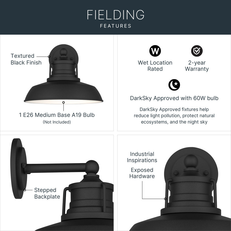 Fielding 12" 1-Light DarkSky Approved Outdoor Wall Light in Textured Black, 10" H x 12" W x 12.5" D, Textured Black