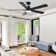 52" Lowe Profile Ceiling Fan with Light