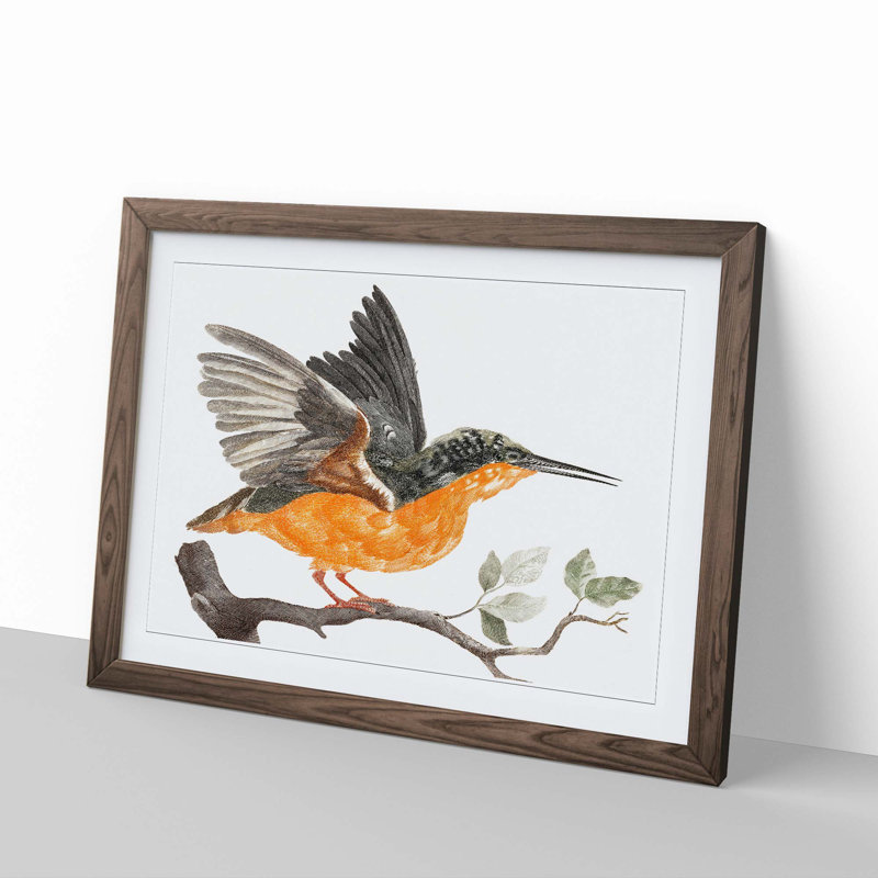 Kingfisher by Johan Teyler - Picture Frame Graphic Art Print, Walnut Framed, 27cm H x 36cm W x 2cm D