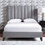 Kyler Velvet Bed-46499887-46721329