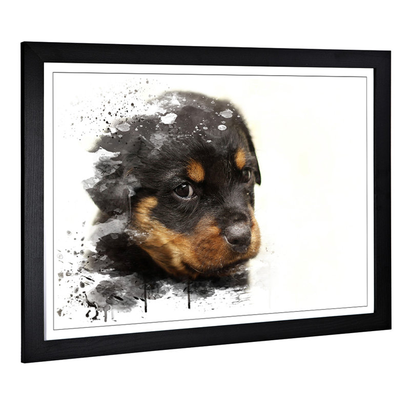 Rottweiler Puppy Dog - Wall Art, 45cm H x 62cm W, Framed Picture