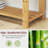 Shoe Rack With Removable Cushion And Adjustable Shelves For Entryway Space Entry