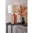 Raya Iron Table Lamp