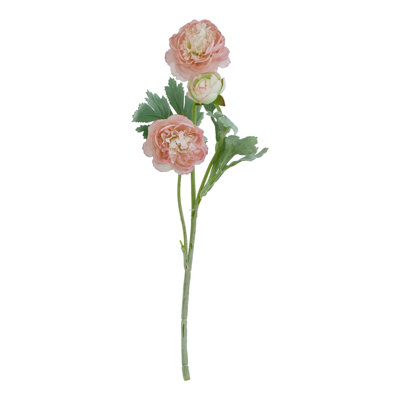 Anastasija Arrangement