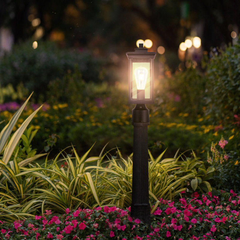 Elisia Transparent Lantern Head