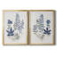 Fern Study I - Toile encadrée de qualité supérieure - prête à être accrochée-799020442-799020445