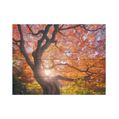 Javier De La The Japanese Tree Wood Slat Art