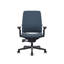 Steelcase Amia Ergonomic Task Chair-323515492-323515497-334359741