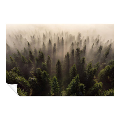 Misty Morning Forest Trees Aerial View 1 Piece Wall Art