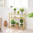 Canterbury Glass Console Table-1283168624