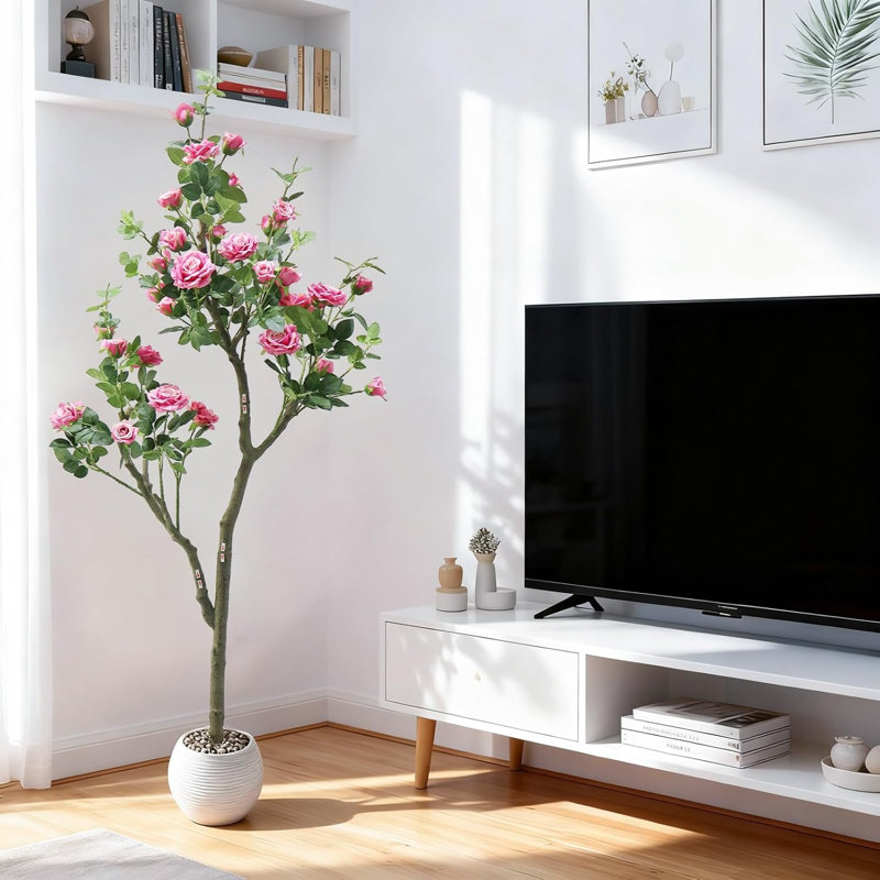 183cm Plant