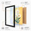 Golden Daisy Trio Botanical - Framed Print-506585367-506585365