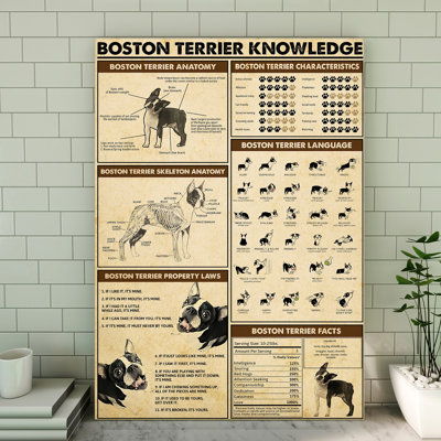 Toile tendue Boston Terrier 2 avec connaissances - décor animal de compagnie, noir et beige