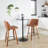 Arabelle Swivel 24.25" Counter Stool