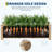 Elevated Wooden Raised Garden Bed