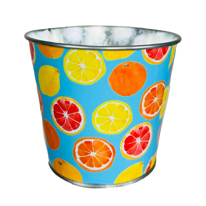 Citrus Blend Metal Planter