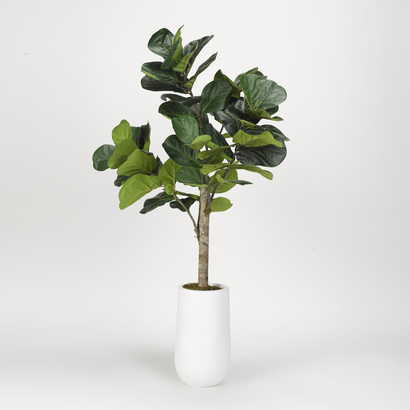 66'' Faux Fiddle Leaf Fig Tree in Planter