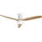 Jazimine 52'' Ceiling Fan with LED Lights