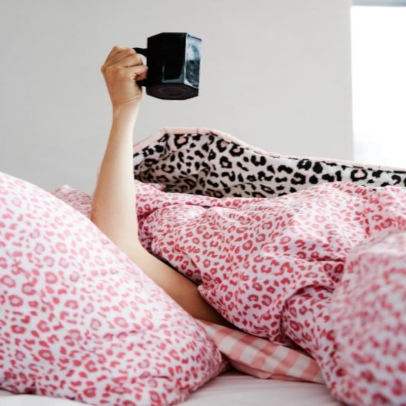 Pink Leopard Print Twin Microfiber Bedding Set