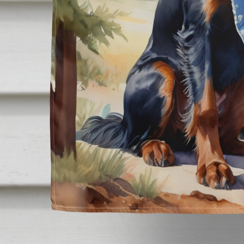 Drapeau Cowboy Welcome House, Setter Gordon