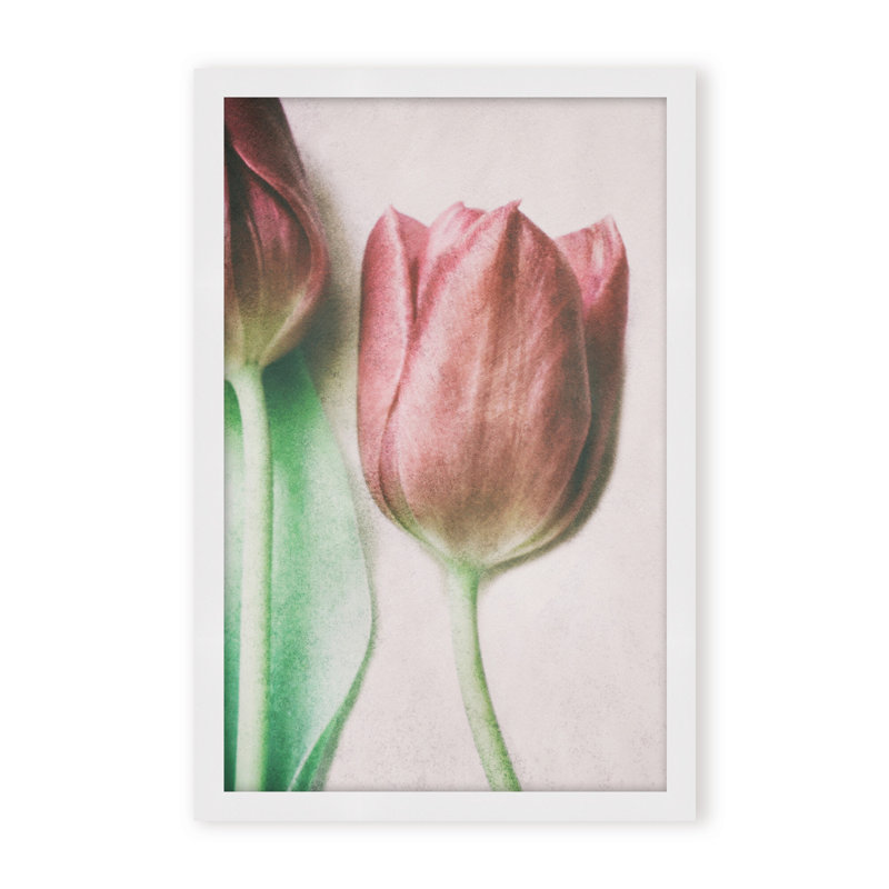 Nature Inspired The Spring Lovers by  - Picture Frame Graphic Art on Paper, 36" H x 24" W x 1.125" D, Framed Matted Print