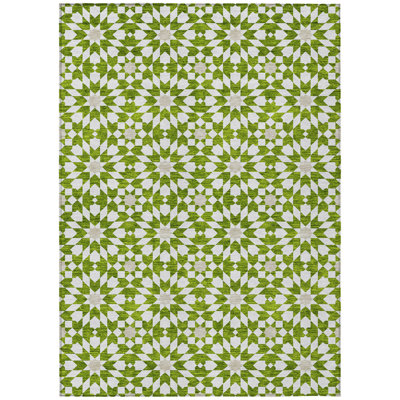 Washable Floral Indoor / Outdoor Rug