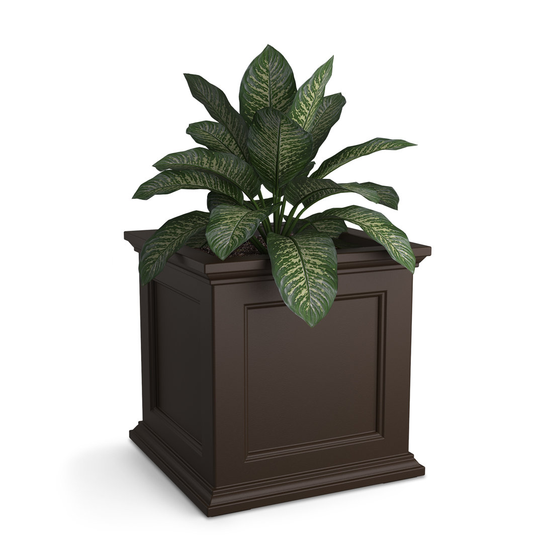 Anastasiya Plastic Planter Box Winston Porter 
