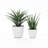 Amiin Modern Tapered Round Plastic Planter Set of 2, Indoor Outdoor HDPE Pot Planters-2064560732