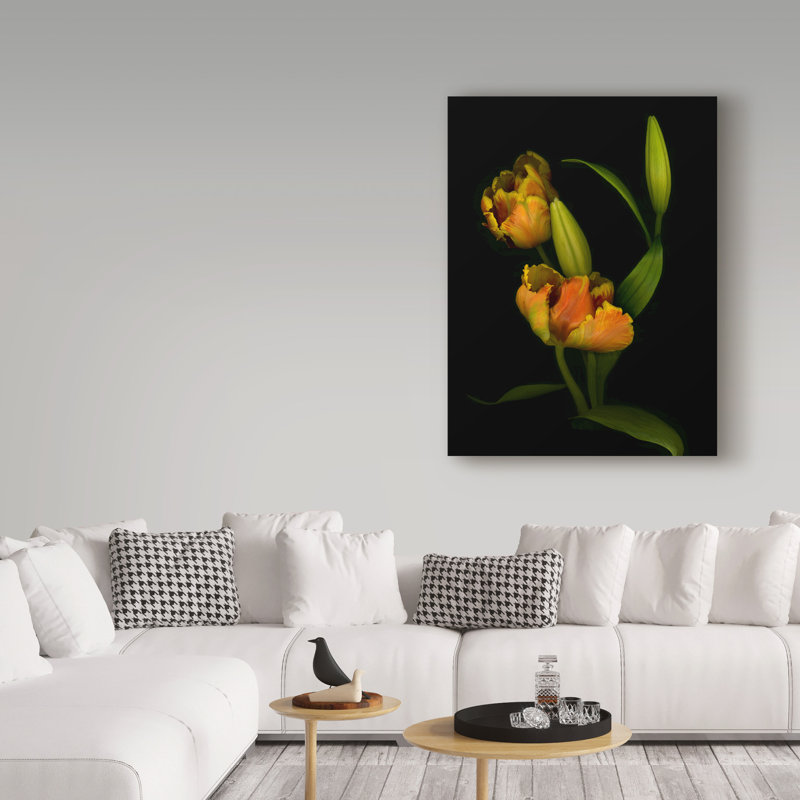 Dosta «Tulips 1», impression sur toile tendue, H 19 po x l 14 po x P 2 po